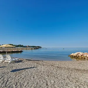 book here